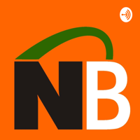 Business Consulting with Nectar Bridge podcast