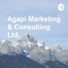 Agapi Marketing/NEXsteps
 Changing Perceptions... Transforming Lives artwork