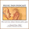 Pelvic Pain Podcast|The Real Story About Chronic Pelvic Pain artwork