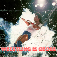 Wrestling Is Gross podcast