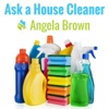 Ask a House Cleaner artwork