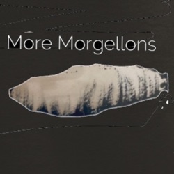 Morgellons Is Not A Disease