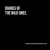 Diaries Of The Wild Ones artwork