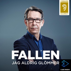 Fallen jag aldrig glömmer