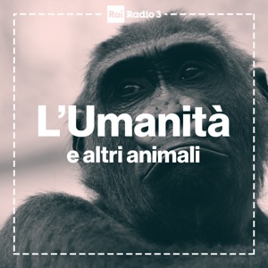 L' UMANITA' E ALTRI ANIMALI - Cavalli scalzi - un'altra vita a Fahnestock ranch