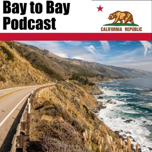 Episode 51: David Aronovici on Home Inspections