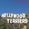 Hollywood Terriers artwork