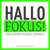 Hallo Fokus! artwork
