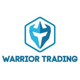 Warrior Trading Strategies Analysis From Successful Traders On - 