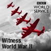 Witness History: World War Two artwork