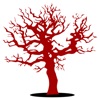 Red Tree Church Podcast artwork