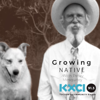 Growing Native podcast