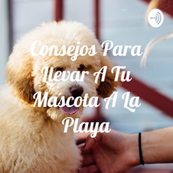 Consejos Para Llevar A Tu Mascota A La Playa