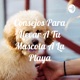 Consejos para llevar a tu mascota a la playa