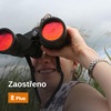 Zaostřeno