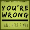 You're Wrong... And Here's Why  artwork