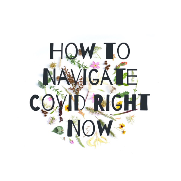 How to Navigate Covid Right Now Artwork