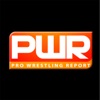 Pro Wrestling Report artwork