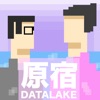 HARAJUKU DATA LAKE artwork