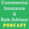 Commercial Insurance and Risk Management artwork