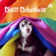 Chazzz Chihuahuas