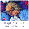 Haptic & Hue artwork
