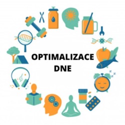 Optimalizace dne