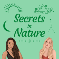 46. Alchemizing Shame Around Sexuality with Sara Silverstein 
