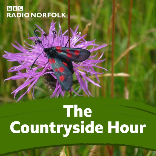The Countryside Hour