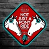 Not Just A Pony Ride artwork