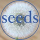 Seeds