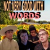 Not Very Good With Words artwork