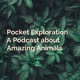Pocket Exploration: A Podcast about Amazing Animals
