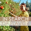 In Search of Flavor artwork