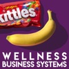 Wellness Business Systems Podcast artwork