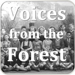 Voices from the Forest