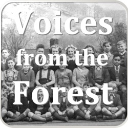 Promo: Voices in the Forest