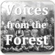 Episode 6: This Land is Our land: The Forest of Dean