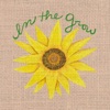 In The Grow artwork