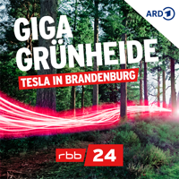 Giga Grünheide - Tesla in Brandenburg | rbb24 podcast