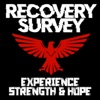 Recovery Survey artwork