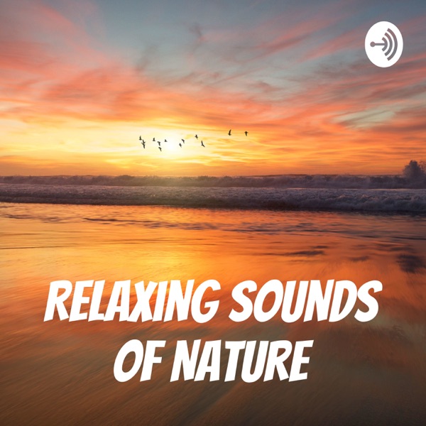 Nature Sounds for Relaxation and Meditation