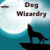 Dog Wizardry artwork