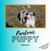 Pandemic Puppy Podcast artwork