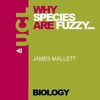 Why Species are Fuzzy - Audio artwork