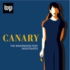 Canary: The Washington Post Investigates artwork
