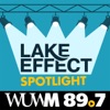 Lake Effect Spotlight artwork