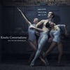 Kinetic Conversations with the Fort Wayne Ballet artwork
