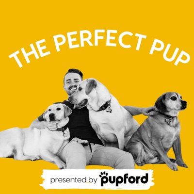 The Perfect Pup The Perfect Pup