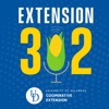 Extension302 artwork